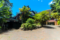 Nuuanu Pali Road