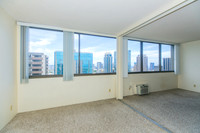 Kukui Plaza #3013E