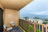 Puu Alii #915