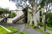 Puu Alii #2226