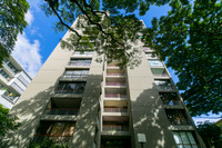 Palo Alto #1301