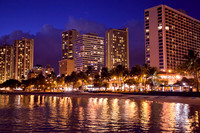 Royal Aloha #1206
