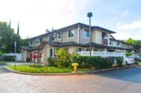 Nohona #3607
